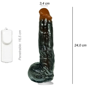 Dildo Consolador Realista Sean Davis Ventosa Vibrador