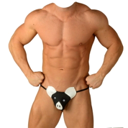 Colaless Sexy Pasionel Canchito