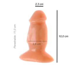 Plug Anal Personal Trainer
