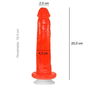 Dildo Consolador Geminis Ventosa