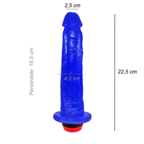 Dildo Consolador Geminis Vibrador