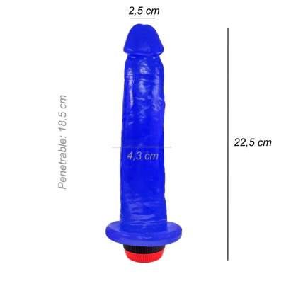 Dildo Consolador Geminis Vibrador