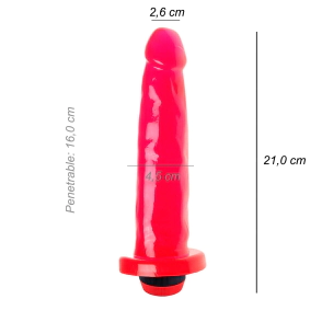 Dildo Consolador Vara Vibrador