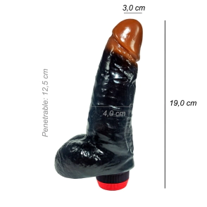 Dildo Consolador Realista Aiden Shaw Vibrador