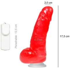 Dildo Consolador Realista Aiden Shaw Ventosa Vibrador