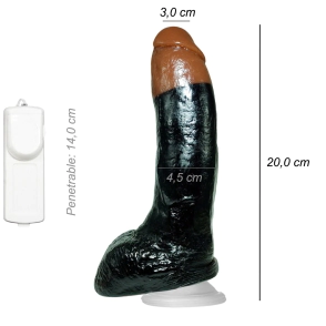 Dildo Consolador Realista Jeff Stryker Ventosa Vibrador