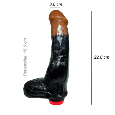 Dildo Consolador Realista Peter Nort Vibrador