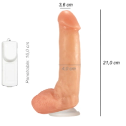 Dildo Consolador Realista Peter Nort Ventosa Vibrador