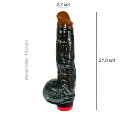 Dildo Consolador Realista Sean Davis Vibrador