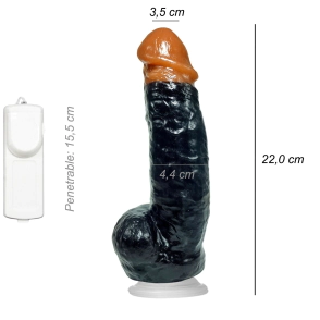 Dildo Consolador Realista Tom Chase Ventosa Vibrador